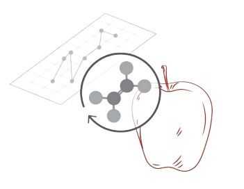 Portable Gas Analyzers